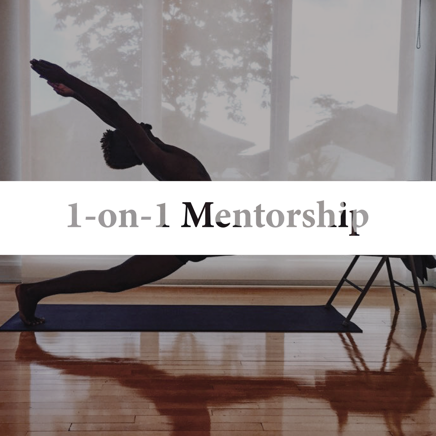 1-on-1 Mentorship